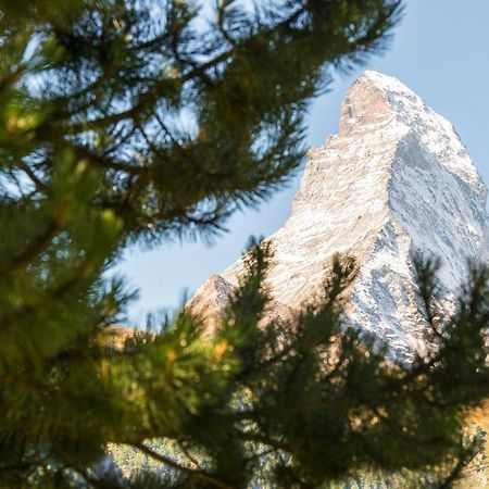 Bed & Breakfast Bijou Zermatt Buitenkant foto
