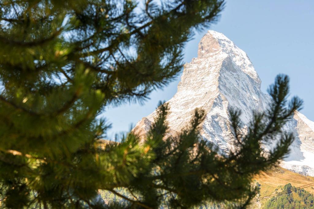 Bed & Breakfast Bijou Zermatt Buitenkant foto